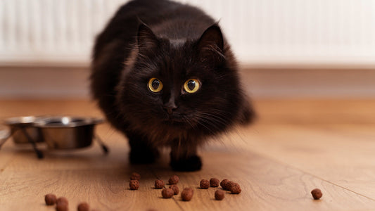 Cats Kick Litter Everywhere