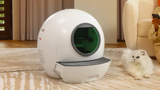 cat and auto litter box