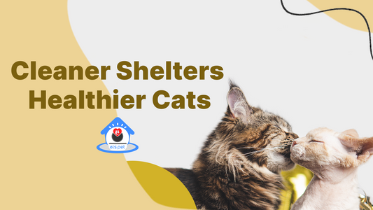 Els Pet Made a Difference for Cat Shelters