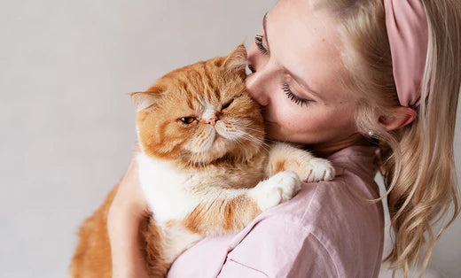 Understanding Cat Behavior: Tips for a Harmonious Home – elspet ca